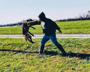 Cone Distributing donates dog to Franklin County Sheriff