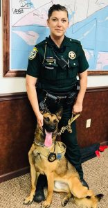 Brew standing proudly with his handler.