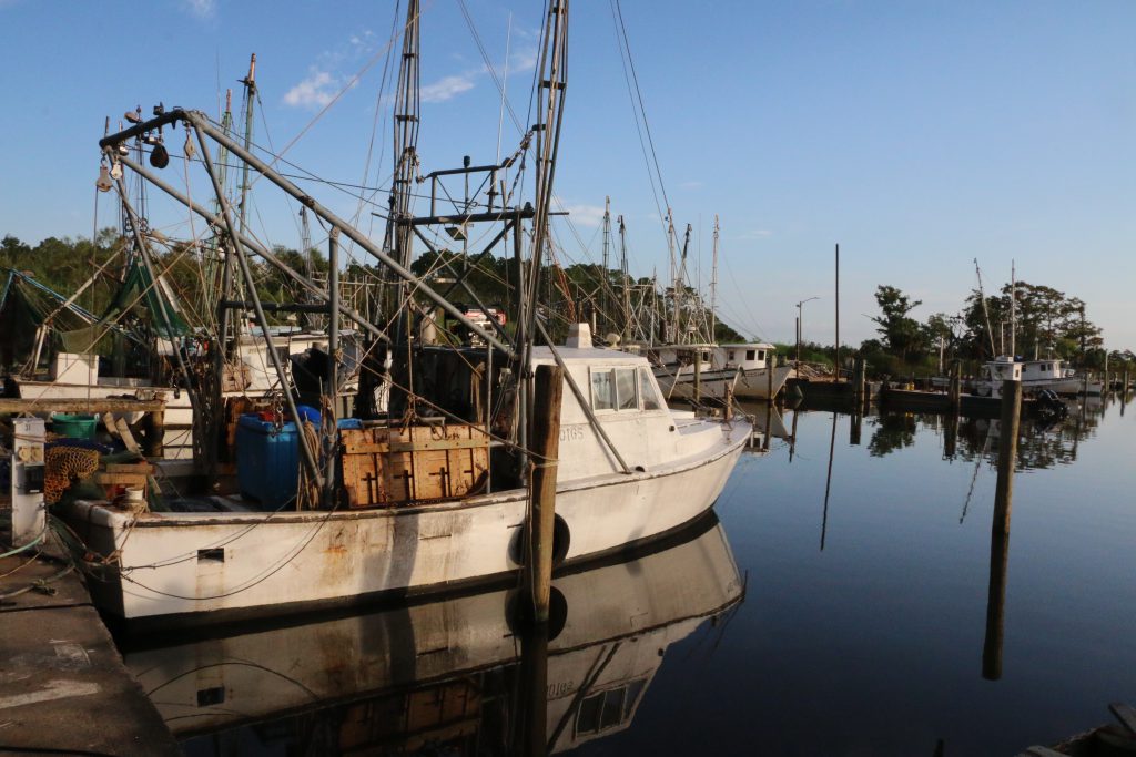 Boats at rest in Mill Pond in Apalachicola