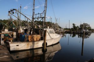 Boats at rest in Mill Pond in Apalachicola