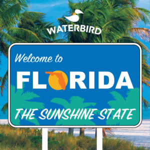 Welcome to Florida Waterbird Spirits!