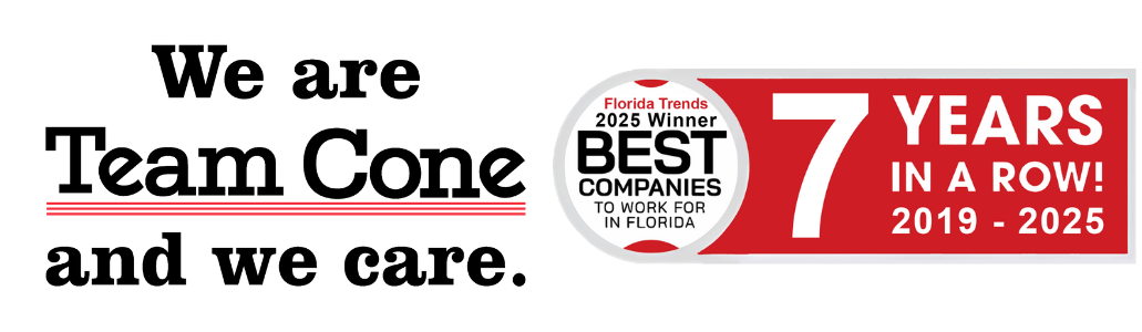 Team Cone Banner Team Cone Banner